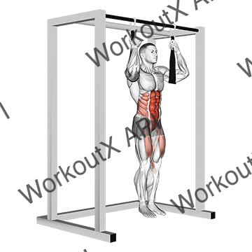 Arm Slingers Hanging Straight Legs animated GIF