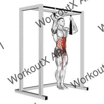 Arm Slingers Hanging Bent Knee Legs animated GIF