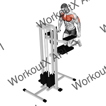 Assisted Wide-grip Chest Dip (kneeling) animated GIF
