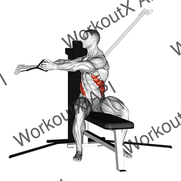 Cable Seated Twist animated GIF