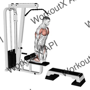 Inverse Leg Curl (on Pull-up Cable Machine) animated GIF