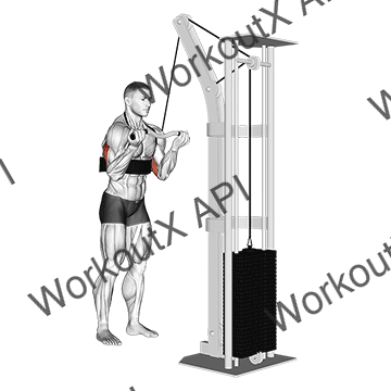 Cable Reverse Grip Triceps Pushdown (sz-bar) (with Arm Blaster) animated GIF