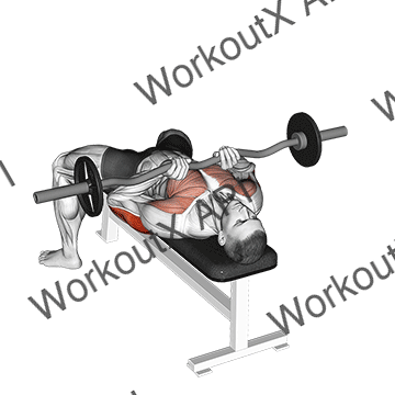 Ez-bar Close-grip Bench Press animated GIF