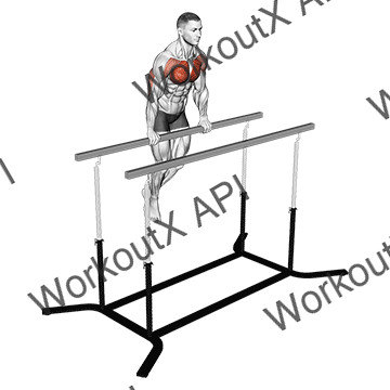 Chest Dip On Straight Bar animated GIF