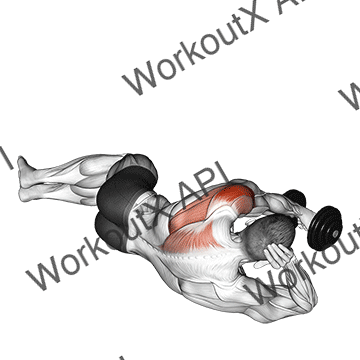 Dumbbell Lying On Floor Rear Delt Raise animated GIF
