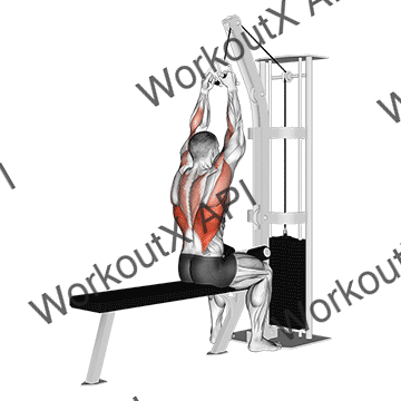 Cable Lateral Pulldown With V-bar animated GIF