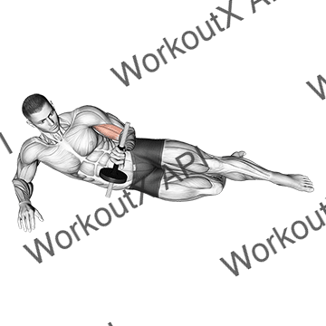 Dumbbell Lying Supination On Floor animated GIF