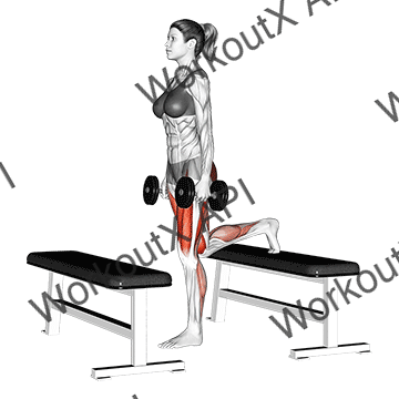 Dumbbell Step-up Lunge animated GIF
