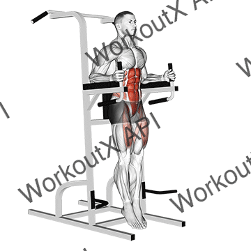 Captains Chair Straight Leg Raise animated GIF