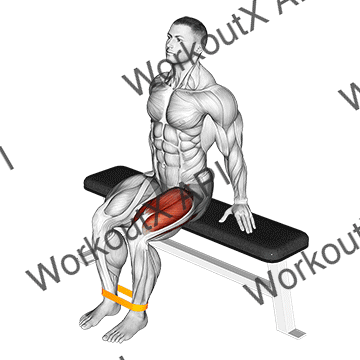 Resistance Band Leg Extension animated GIF
