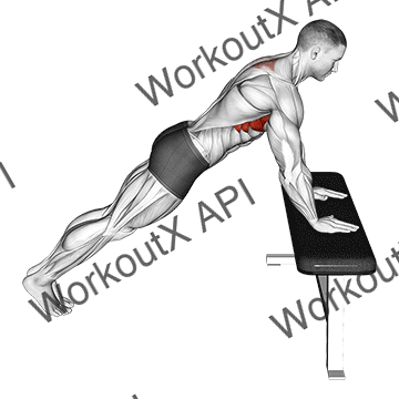 Incline Scapula Push Up animated GIF