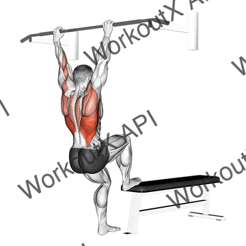 Bench Pull-ups animated GIF