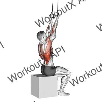 Band Fixed Back Underhand Pulldown animated GIF
