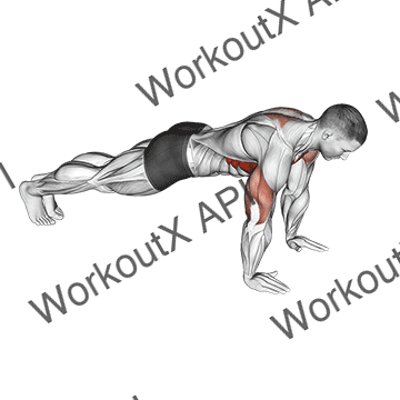 Push-up Plus animated GIF