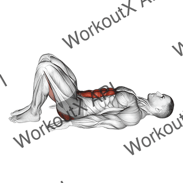 Pelvic Tilt animated GIF