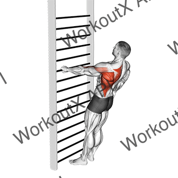 Bodyweight Standing One Arm Row animated GIF