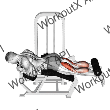 Lever Lying Two-one Leg Curl animated GIF