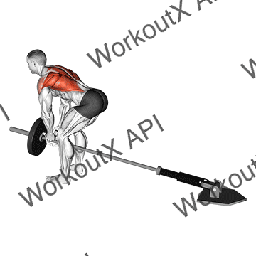 Lever Bent-over Row With V-bar animated GIF