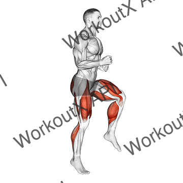Half Knee Bends (male) animated GIF