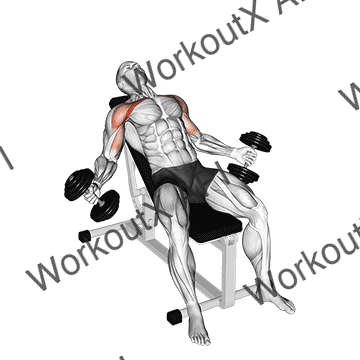 Hyght Dumbbell Fly animated GIF
