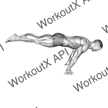 Full Planche animated GIF