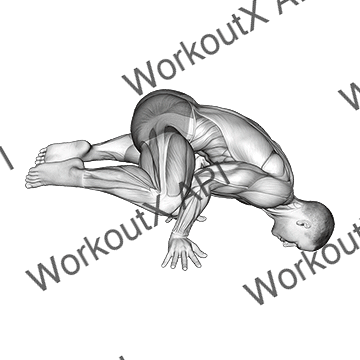 Frog Planche animated GIF