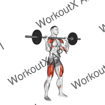 Barbell Thruster animated GIF