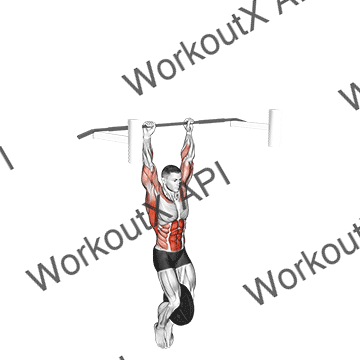 Weighted Muscle Up (on Bar) animated GIF