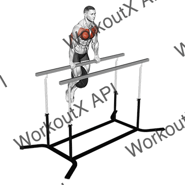 Weighted Straight Bar Dip animated GIF