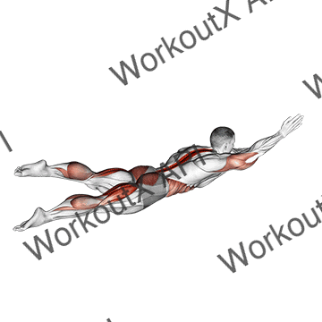 Swimmer Kicks V. 2 (male) animated GIF
