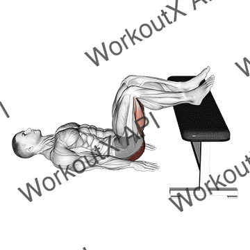 Glute Bridge Two Legs On Bench (male) animated GIF