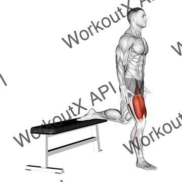 Quads (bodyweight Squat) animated GIF