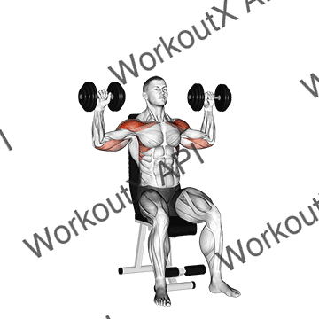 Dumbbell Seated Alternate Shoulder animated GIF