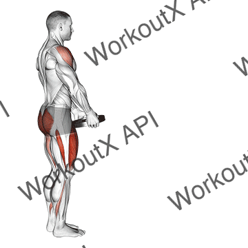 Weighted Lunge With Swing animated GIF