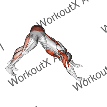Pike-to-cobra Push-up animated GIF