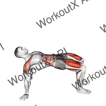 Reverse Plank With Leg Lift animated GIF