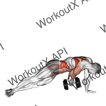 Dumbbell Side Plank With Rear Fly animated GIF