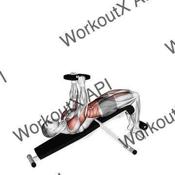 Weighted Decline Sit-up animated GIF