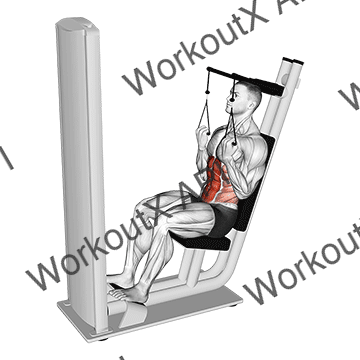 Lever Seated Crunch V. 2 animated GIF