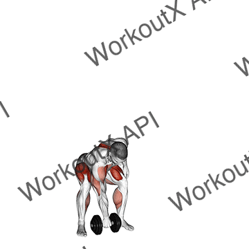 Dumbbell One Arm Snatch animated GIF