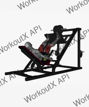 Leg Press Wide High Stance Behind View exercise demonstration