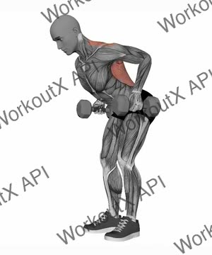 Dumbbells Bent Over Row exercise demonstration