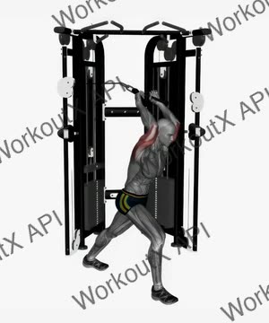 Cable Overhead Extension Rope exercise demonstration