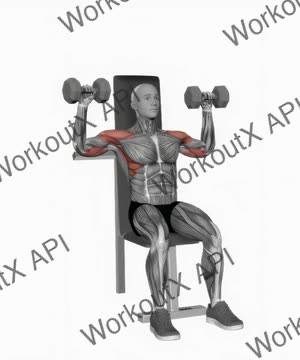 Dumbbell Seated Alternate Shoulder Press exercise demonstration