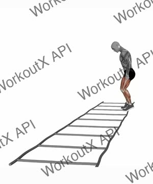 Agility Ladder Advancing Laterally Switching Base exercise demonstration