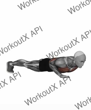 One Arm Push Up exercise demonstration