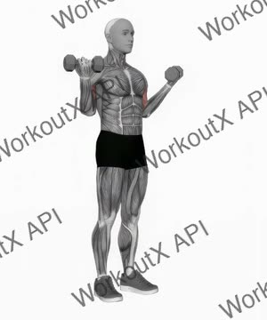 Dumbbell Standing Wide Simultaneous Biceps Curl exercise demonstration