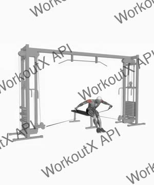 Cable Seated Rear Lateral Raise exercise demonstration