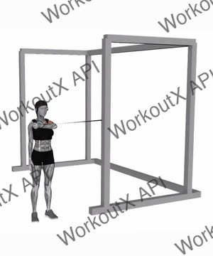 Band Cross Body One Arm Chest Press exercise demonstration