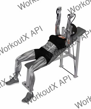 Band Incline Hammer Press exercise demonstration